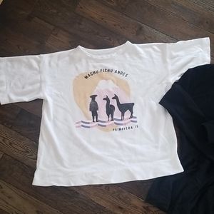 Isabel Marant + Zara tops.  2 Top bundle!